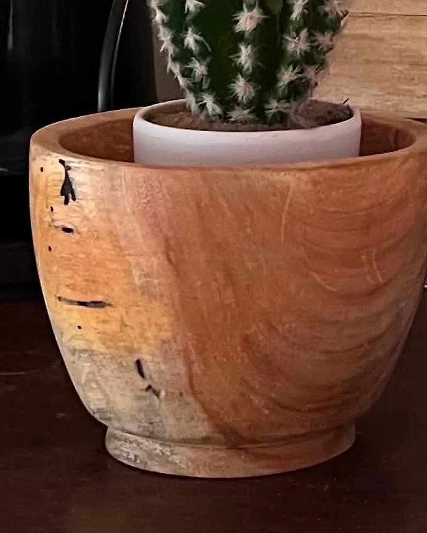 Cache-pot en bois avec une plante